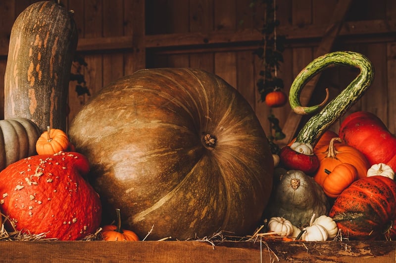 Fall Harvest Feasts